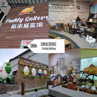 Paddy Gallery - Sekinchan